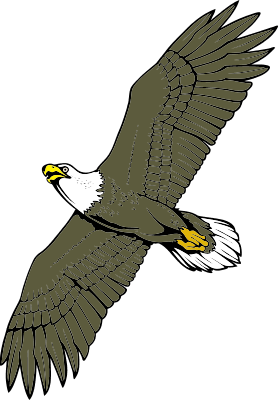 Eagle