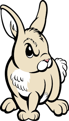 Rabbit