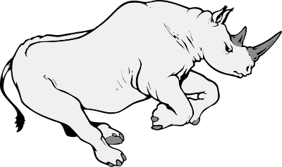 Rhino