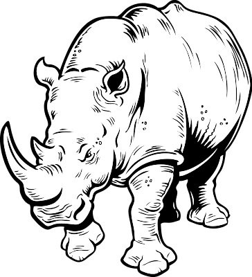 Rhino