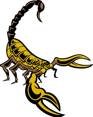 Scorpian