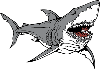 Shark