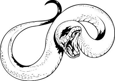 Snake