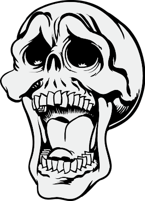 Skull & Bones